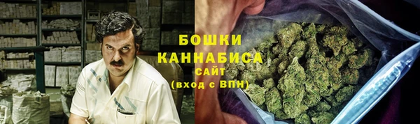 PSILOCYBIN Алексеевка