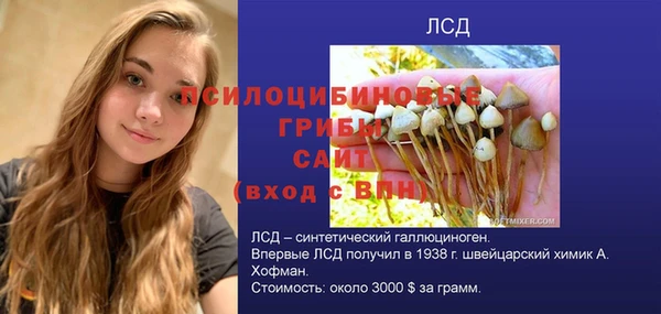 PSILOCYBIN Алексеевка